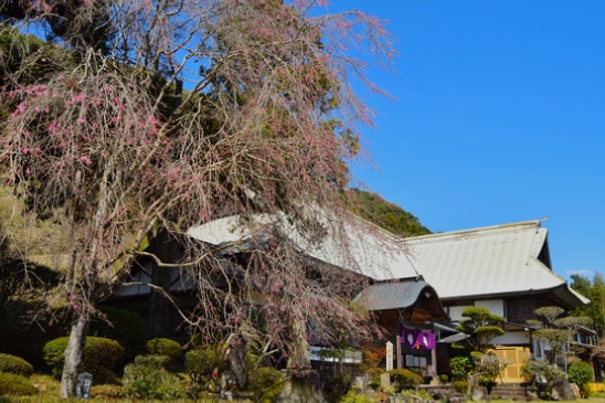 曹洞寺 石水寺