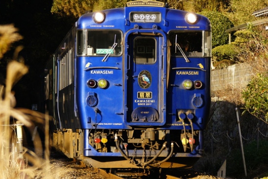 Limited Express KAWASEMI YAMASEMI
