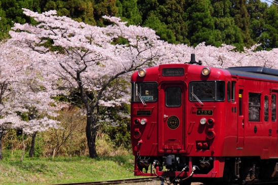 いさぶろう・しんぺいの写真